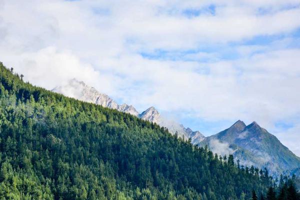 The Ultimate Guide to Creating a Budget That Works